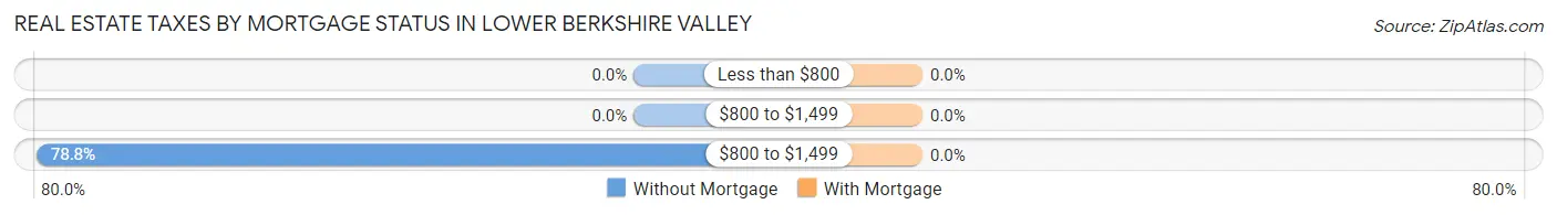 Real Estate Taxes by Mortgage Status in Lower Berkshire Valley