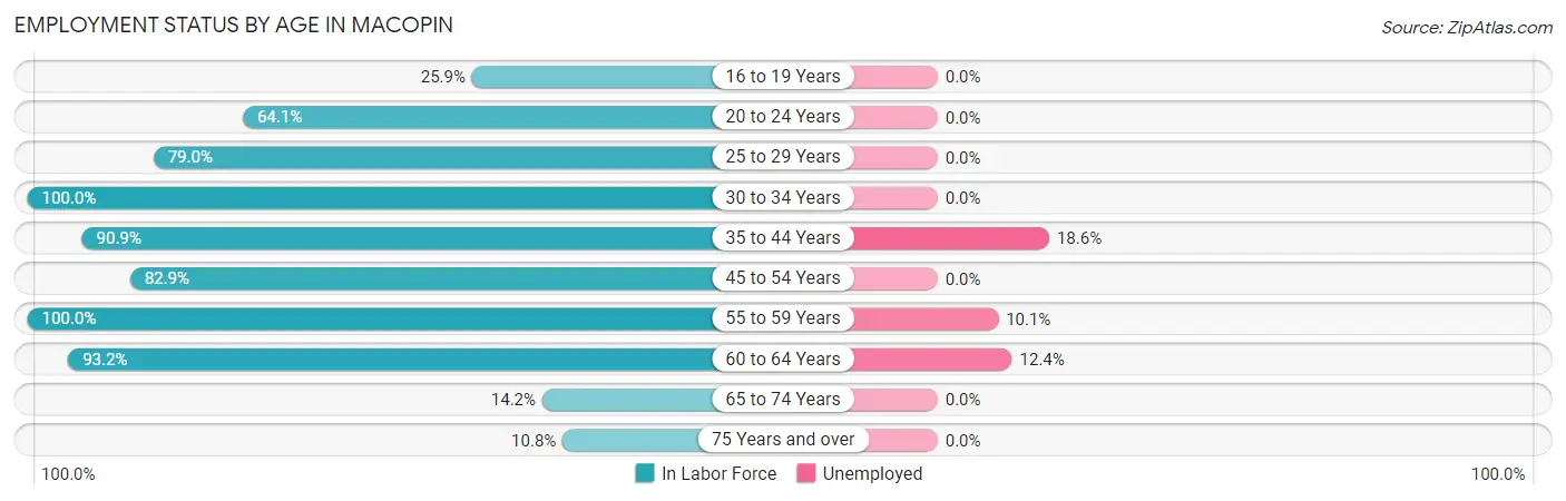 Employment Status by Age in Macopin