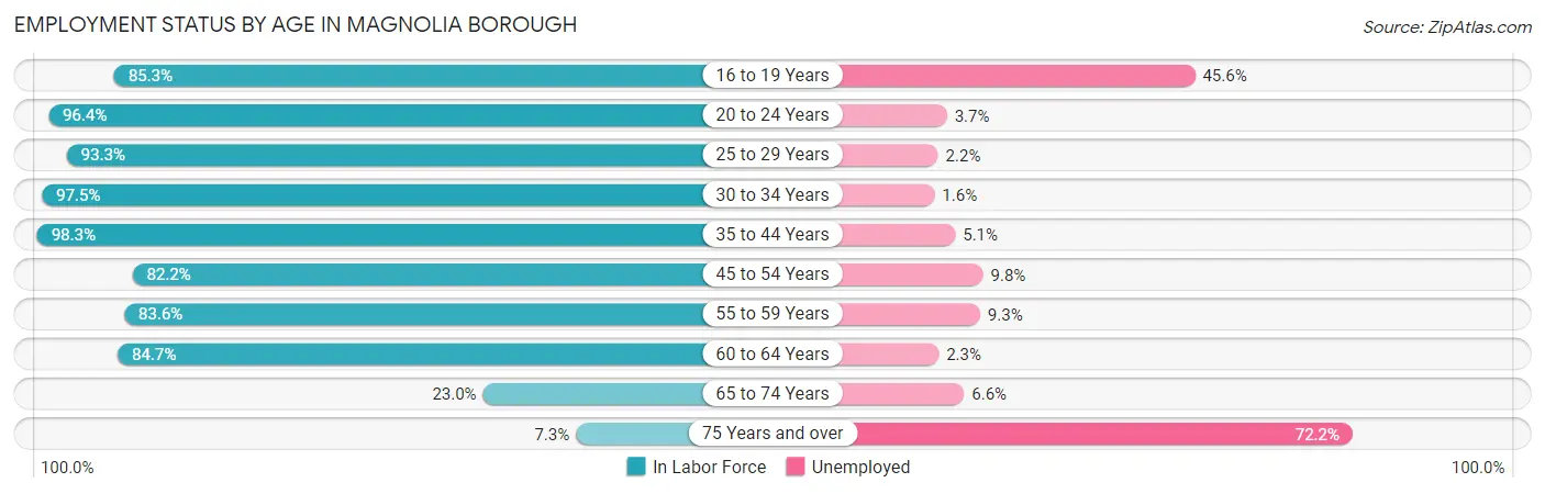 Employment Status by Age in Magnolia borough