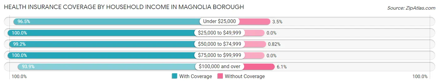 Health Insurance Coverage by Household Income in Magnolia borough