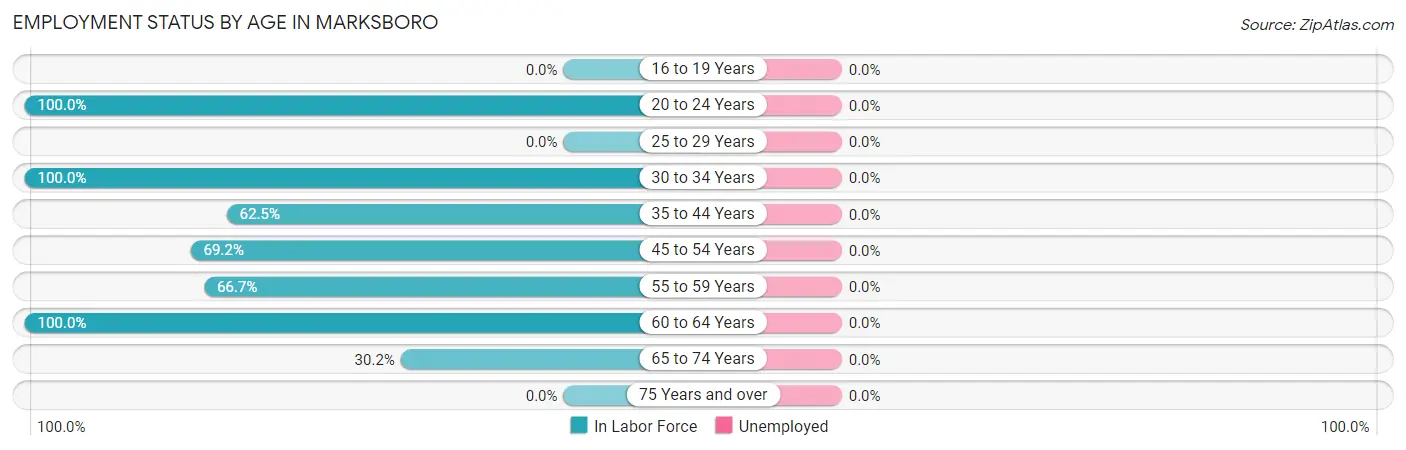 Employment Status by Age in Marksboro
