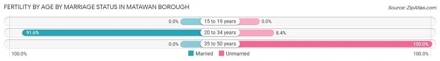 Female Fertility by Age by Marriage Status in Matawan borough