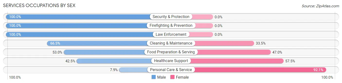Services Occupations by Sex in Matawan borough