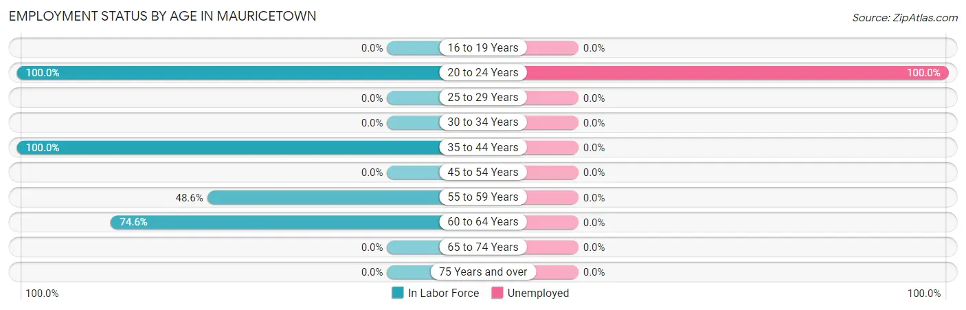 Employment Status by Age in Mauricetown