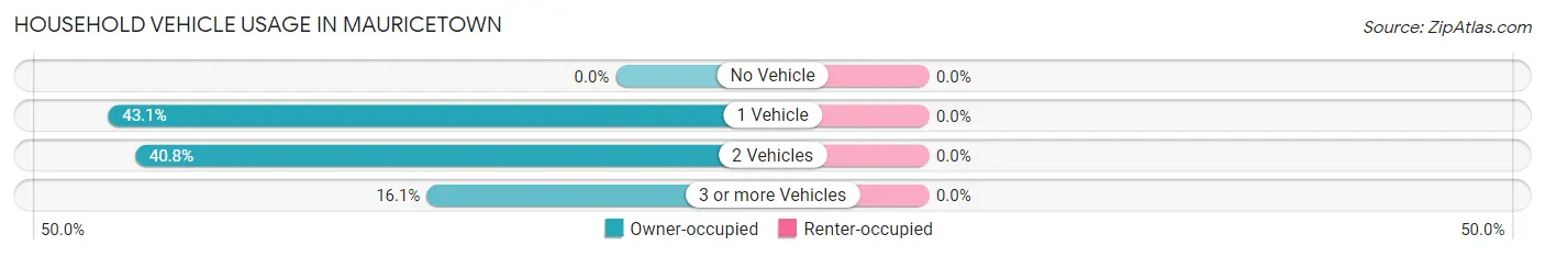 Household Vehicle Usage in Mauricetown