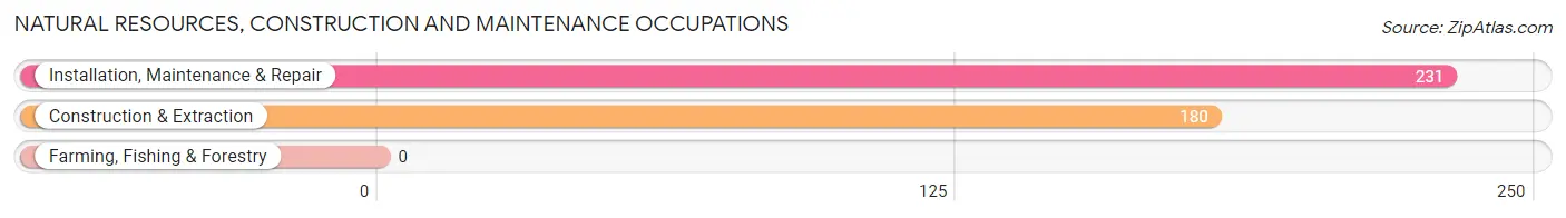 Natural Resources, Construction and Maintenance Occupations in Maywood borough