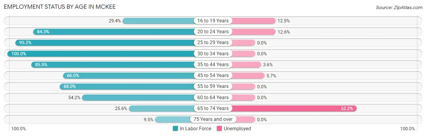 Employment Status by Age in McKee