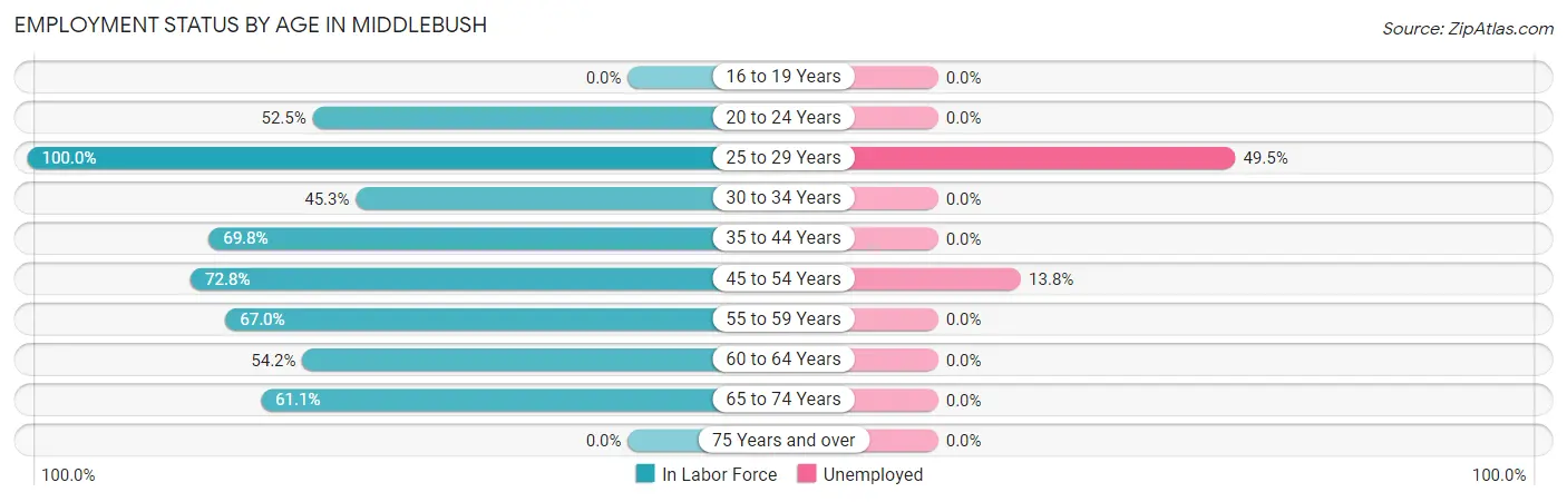 Employment Status by Age in Middlebush