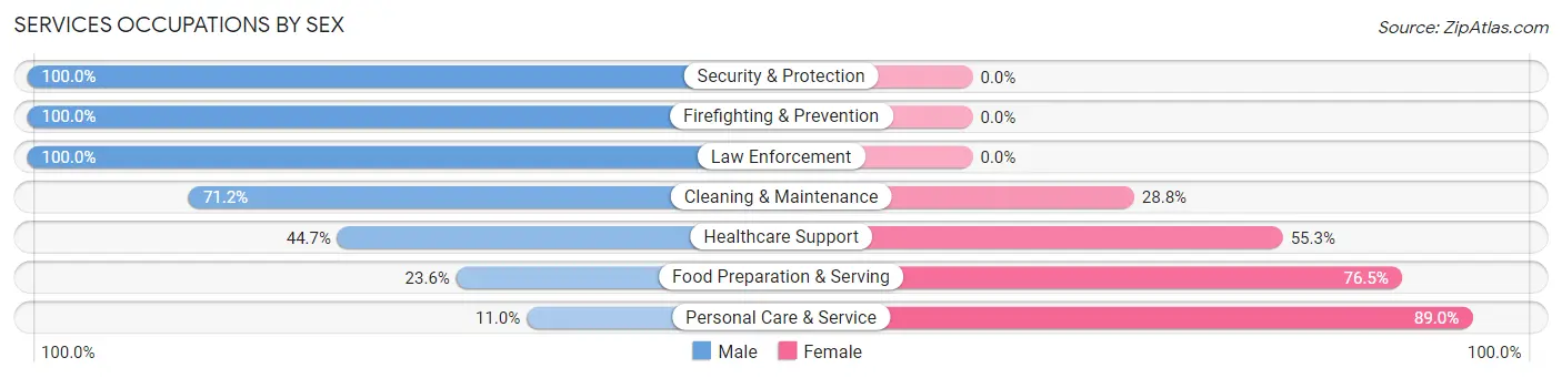 Services Occupations by Sex in Middlesex borough