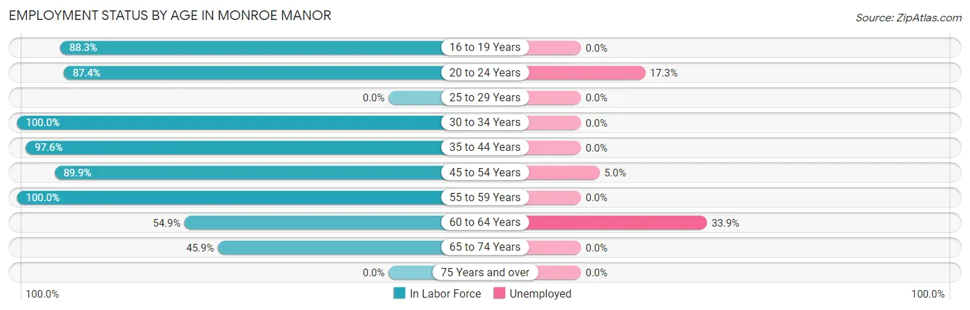 Employment Status by Age in Monroe Manor