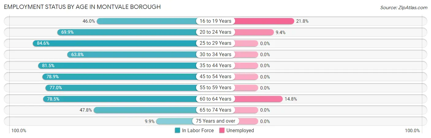 Employment Status by Age in Montvale borough