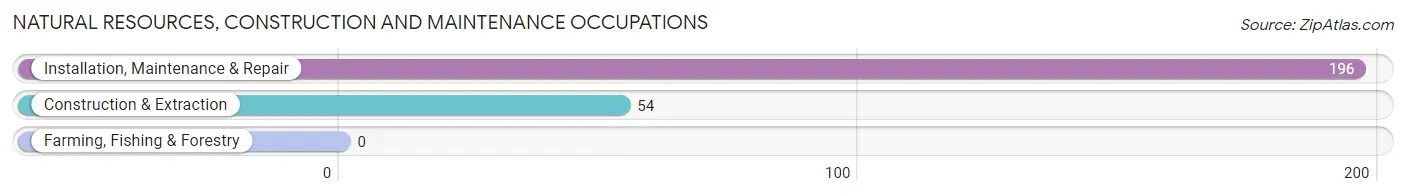 Natural Resources, Construction and Maintenance Occupations in Morganville