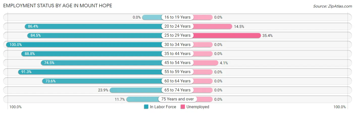 Employment Status by Age in Mount Hope