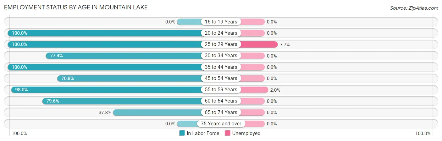 Employment Status by Age in Mountain Lake