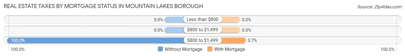 Real Estate Taxes by Mortgage Status in Mountain Lakes borough