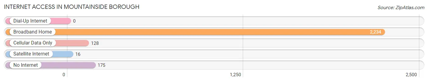 Internet Access in Mountainside borough