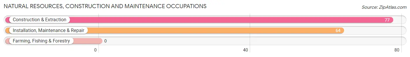 Natural Resources, Construction and Maintenance Occupations in Mountainside borough