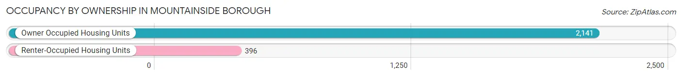 Occupancy by Ownership in Mountainside borough