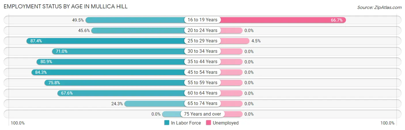 Employment Status by Age in Mullica Hill