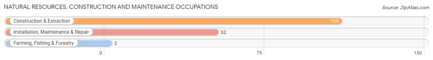 Natural Resources, Construction and Maintenance Occupations in Mullica Hill