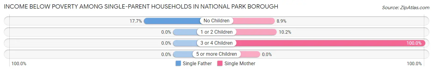 Income Below Poverty Among Single-Parent Households in National Park borough