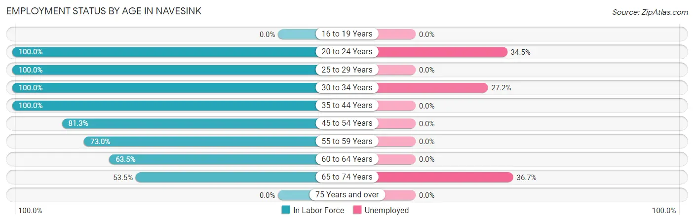 Employment Status by Age in Navesink