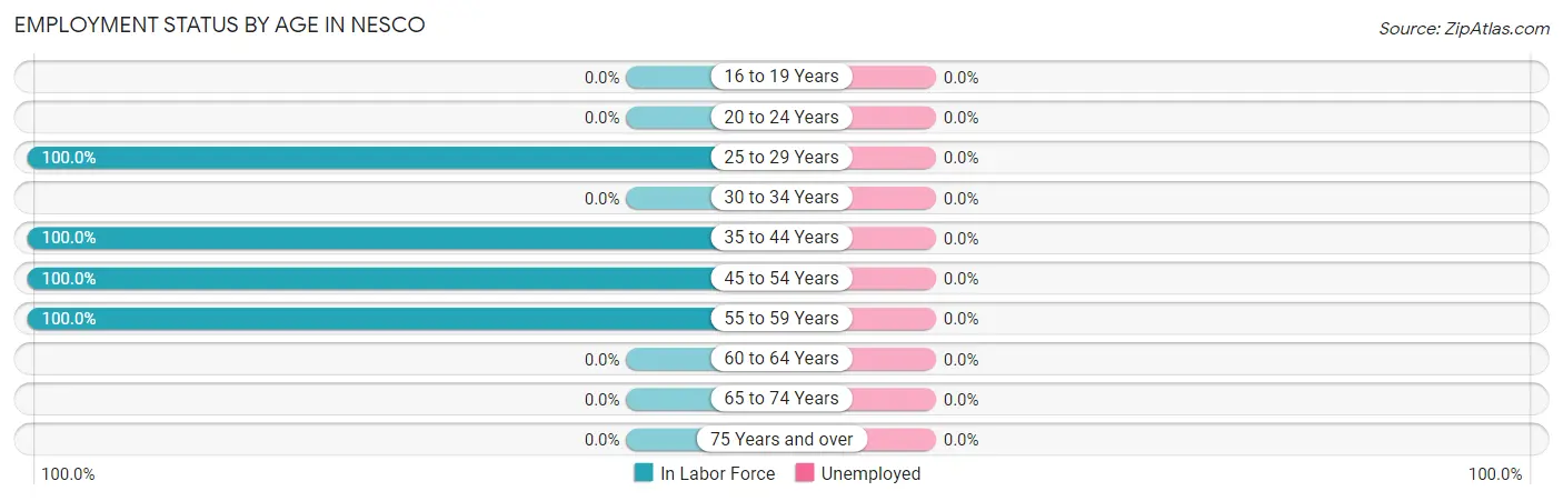 Employment Status by Age in Nesco
