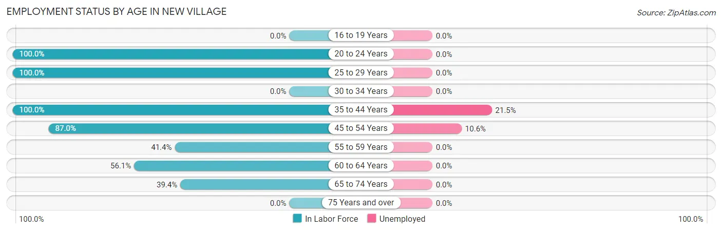 Employment Status by Age in New Village