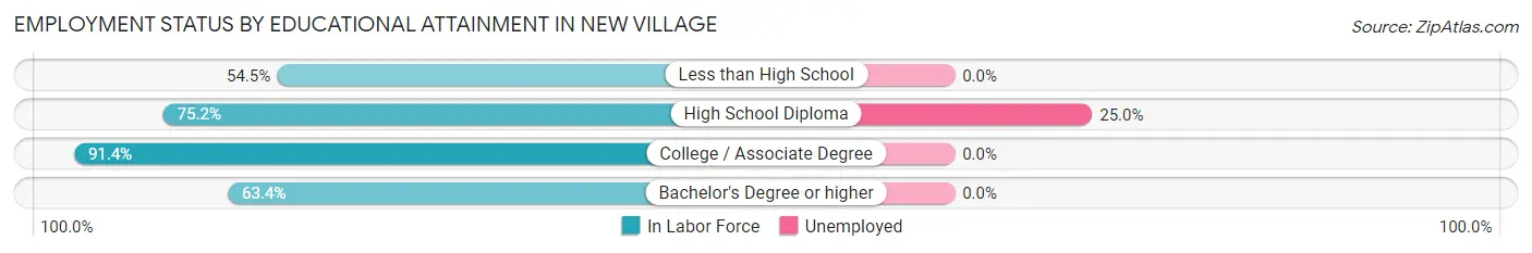 Employment Status by Educational Attainment in New Village