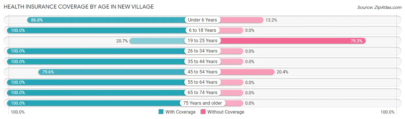 Health Insurance Coverage by Age in New Village
