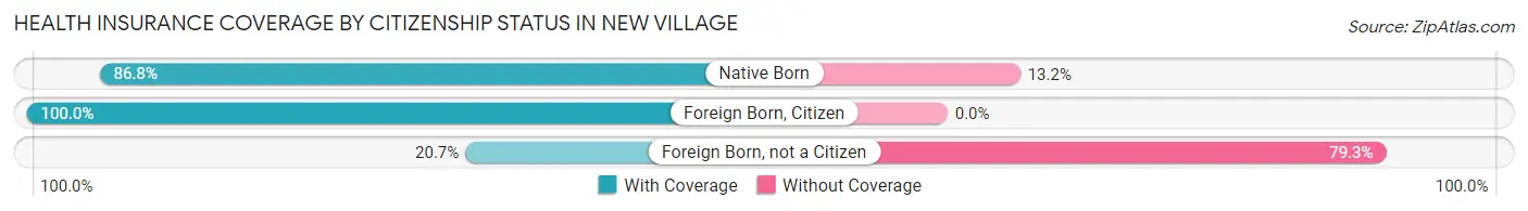 Health Insurance Coverage by Citizenship Status in New Village