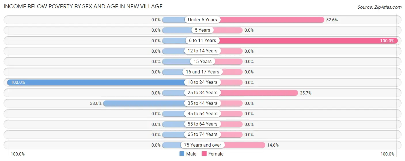 Income Below Poverty by Sex and Age in New Village