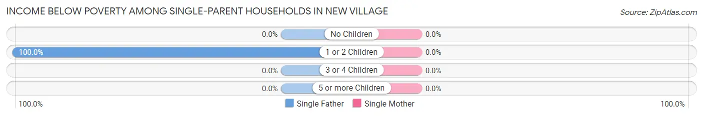 Income Below Poverty Among Single-Parent Households in New Village