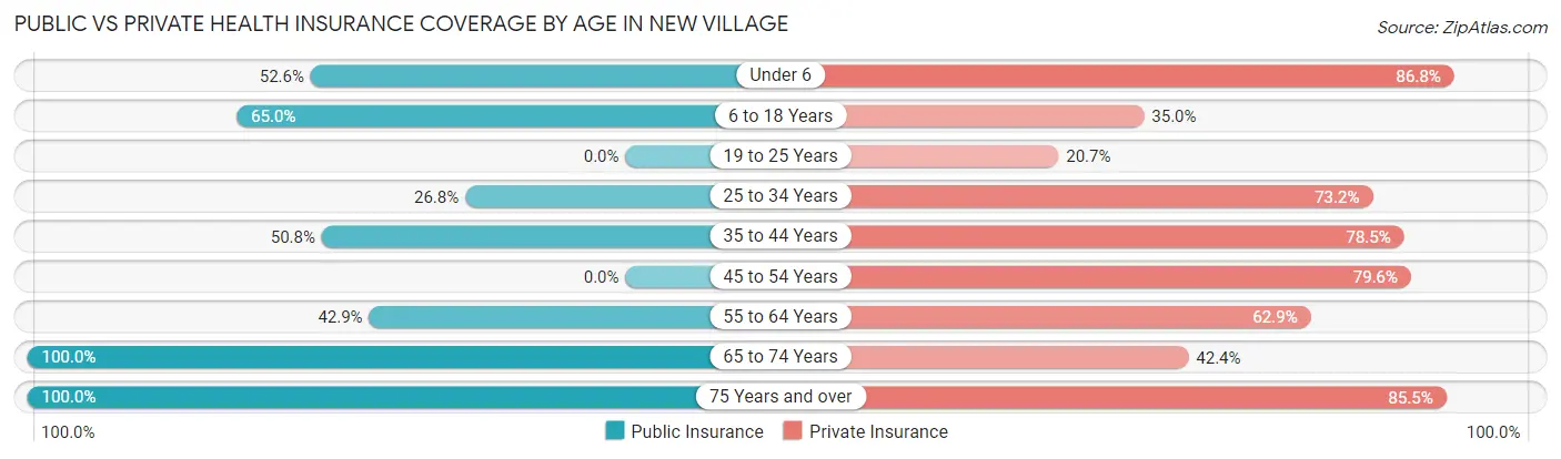 Public vs Private Health Insurance Coverage by Age in New Village