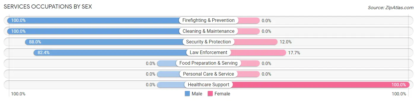 Services Occupations by Sex in New Village