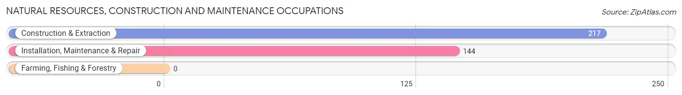 Natural Resources, Construction and Maintenance Occupations in Newton