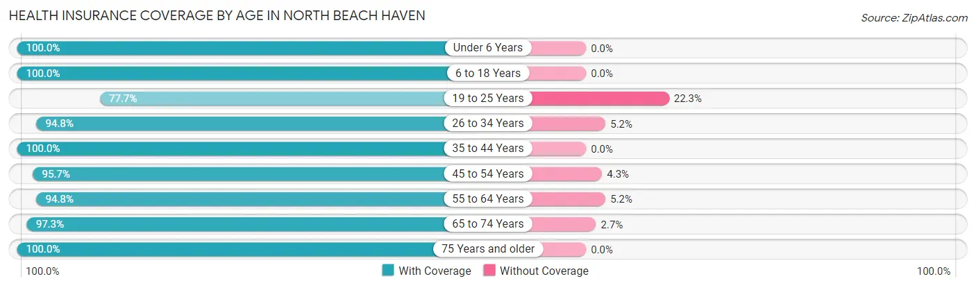 Health Insurance Coverage by Age in North Beach Haven