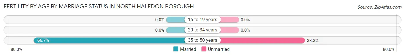 Female Fertility by Age by Marriage Status in North Haledon borough