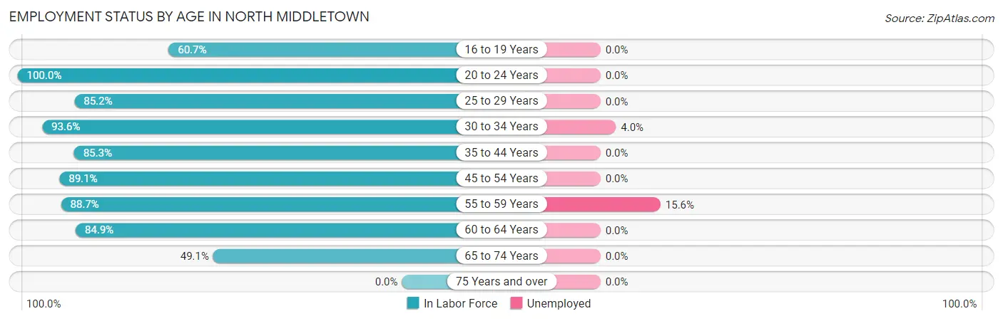 Employment Status by Age in North Middletown