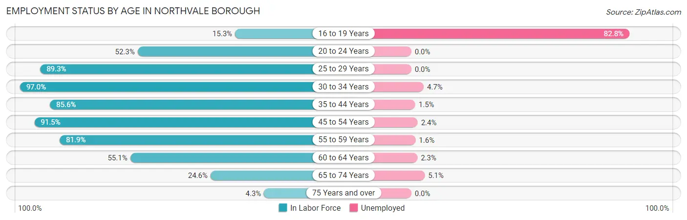 Employment Status by Age in Northvale borough