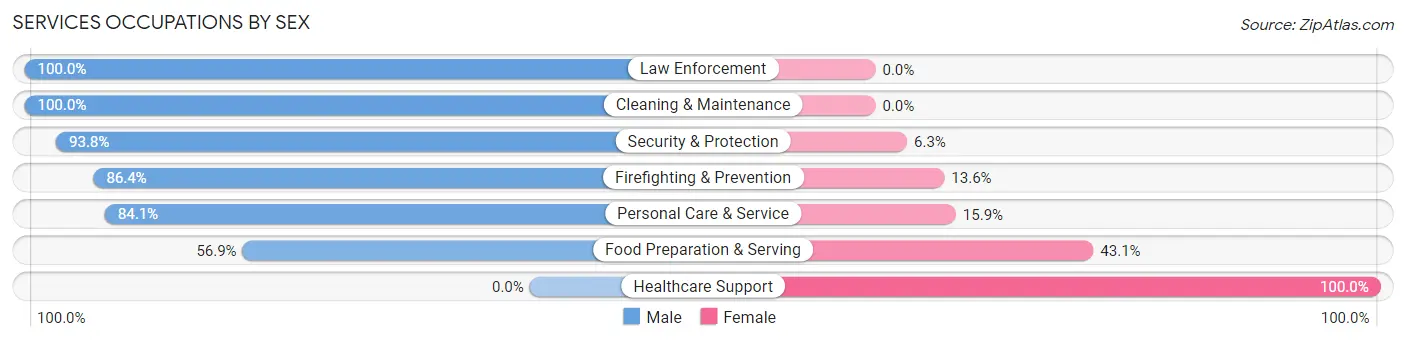 Services Occupations by Sex in Northvale borough