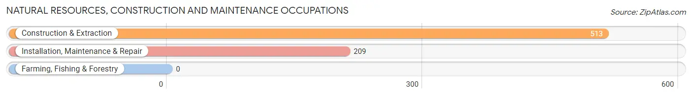 Natural Resources, Construction and Maintenance Occupations in Oak Ridge