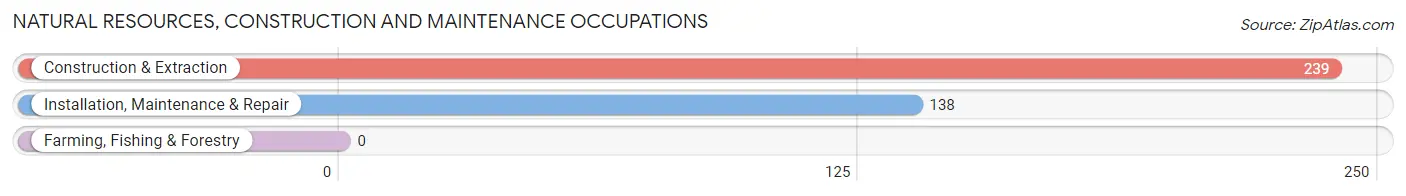 Natural Resources, Construction and Maintenance Occupations in Oakland borough