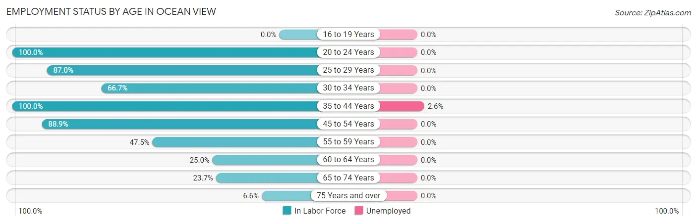 Employment Status by Age in Ocean View