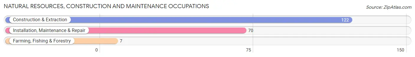 Natural Resources, Construction and Maintenance Occupations in Ogdensburg borough