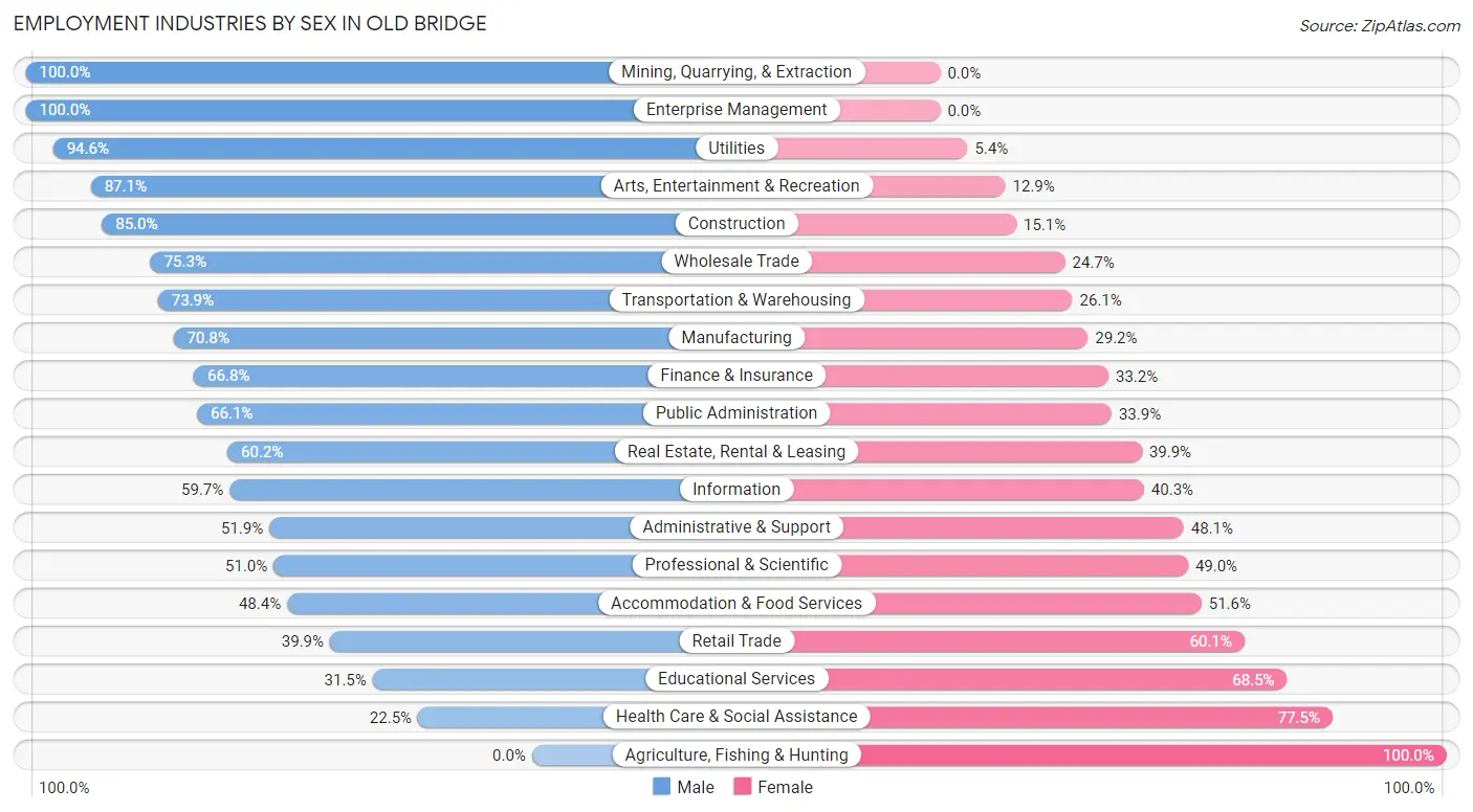 Employment Industries by Sex in Old Bridge