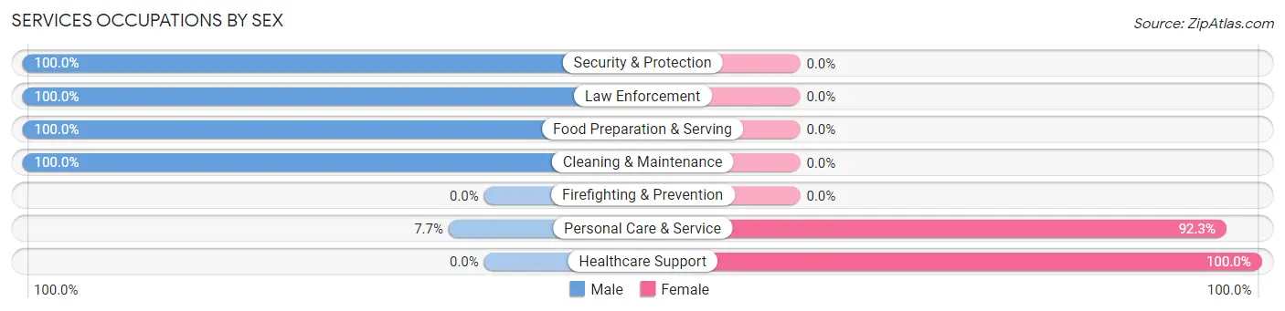 Services Occupations by Sex in Palermo
