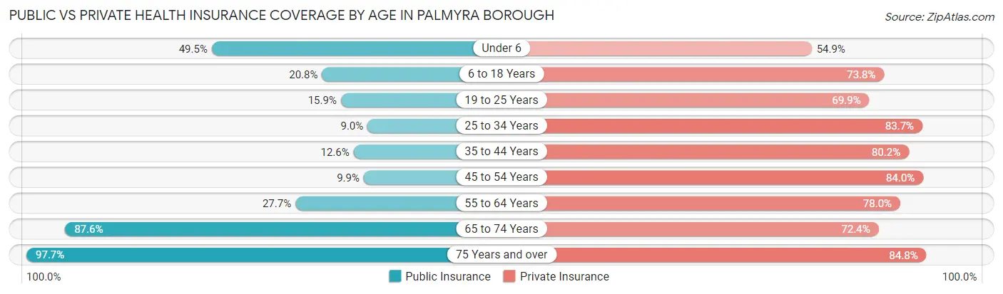 Public vs Private Health Insurance Coverage by Age in Palmyra borough