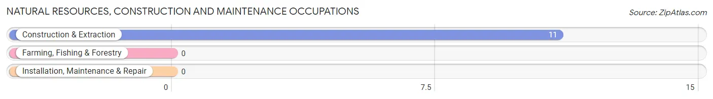 Natural Resources, Construction and Maintenance Occupations in Panther Valley