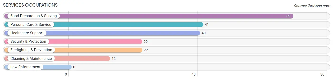 Services Occupations in Panther Valley